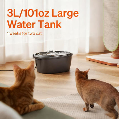 3L Stainless Steel Pet Water Fountain (Dishwasher Safe)