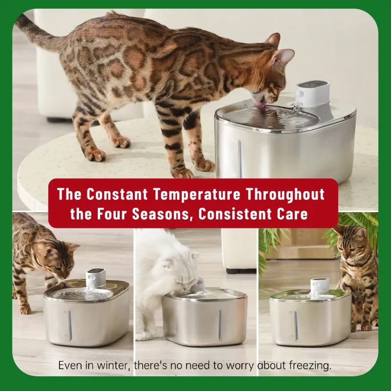 No Wires, Just Pure Hydration: Fresh, Perfectly Tempered Water for Your Pet!
