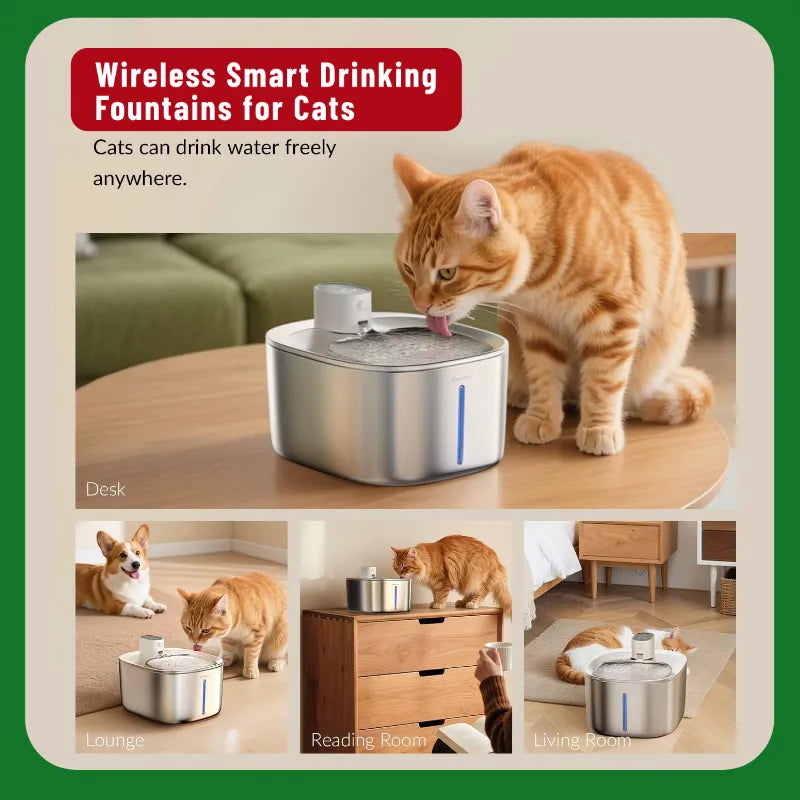 No Wires, Just Pure Hydration: Fresh, Perfectly Tempered Water for Your Pet!