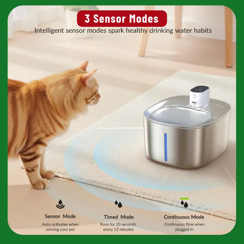 No Wires, Just Pure Hydration: Fresh, Perfectly Tempered Water for Your Pet!