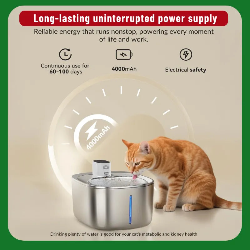 No Wires, Just Pure Hydration: Fresh, Perfectly Tempered Water for Your Pet!