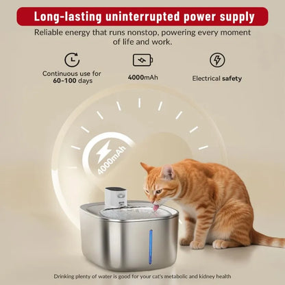 No Wires, Just Pure Hydration: Fresh, Perfectly Tempered Water for Your Pet!