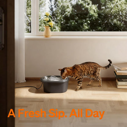 3L Stainless Steel Pet Water Fountain (Dishwasher Safe)